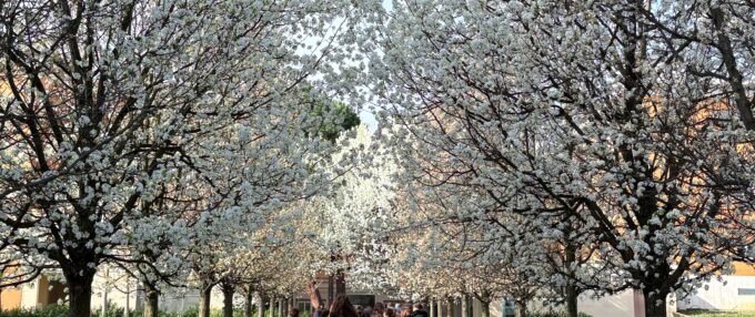 Studenti della scuola Giansante in visita alla casa di cura Villa Serena